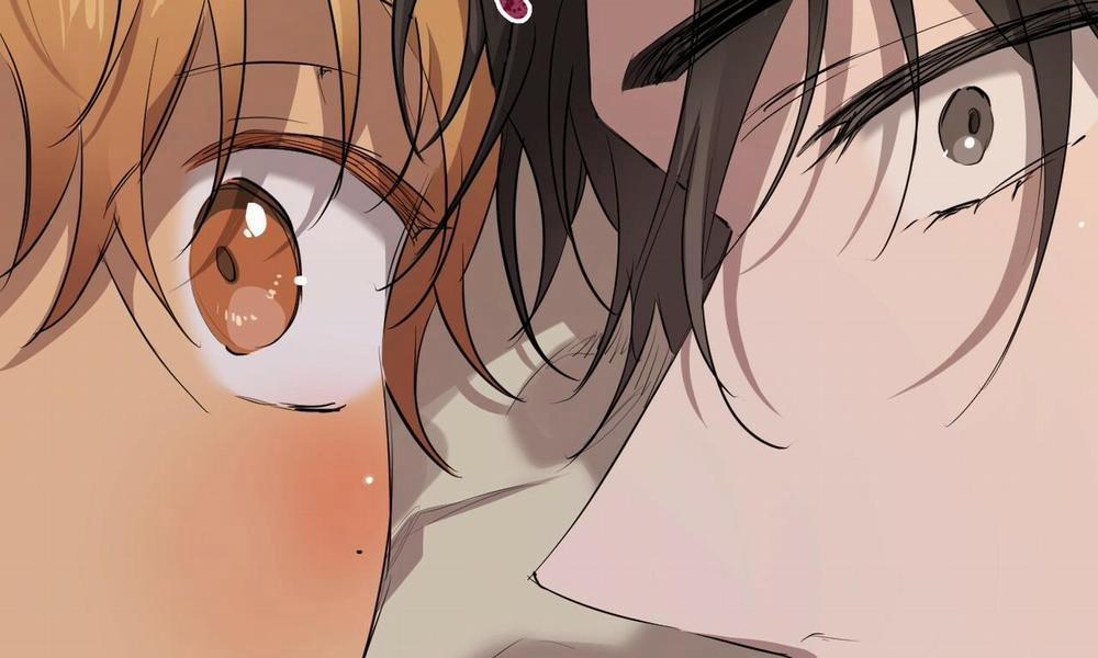 Đàn Thỏ Của Habibi 27 trang 263