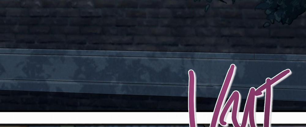 Đàn Thỏ Của Habibi 27 trang 273