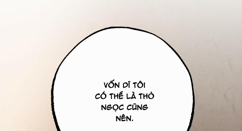 Đàn Thỏ Của Habibi 27 trang 64