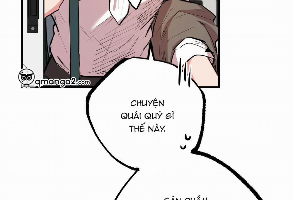 Đàn Thỏ Của Habibi 28 trang 10