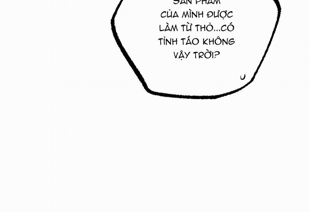 Đàn Thỏ Của Habibi 28 trang 11