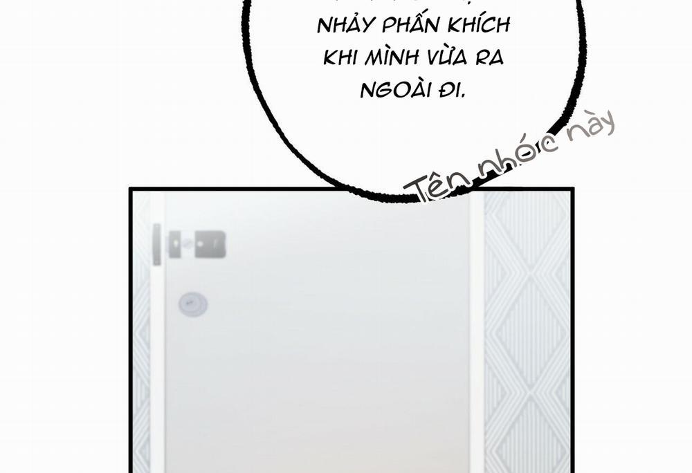 Đàn Thỏ Của Habibi 28 trang 137