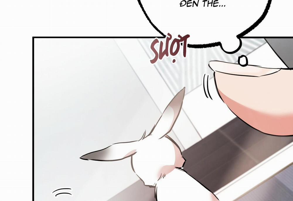 Đàn Thỏ Của Habibi 28 trang 140