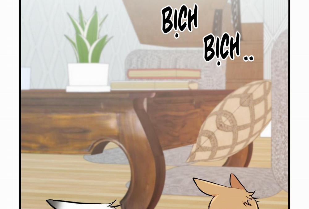 Đàn Thỏ Của Habibi 28 trang 159