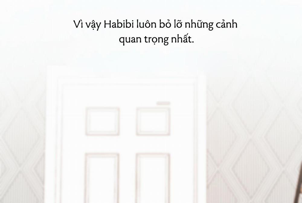 Đàn Thỏ Của Habibi 28 trang 170