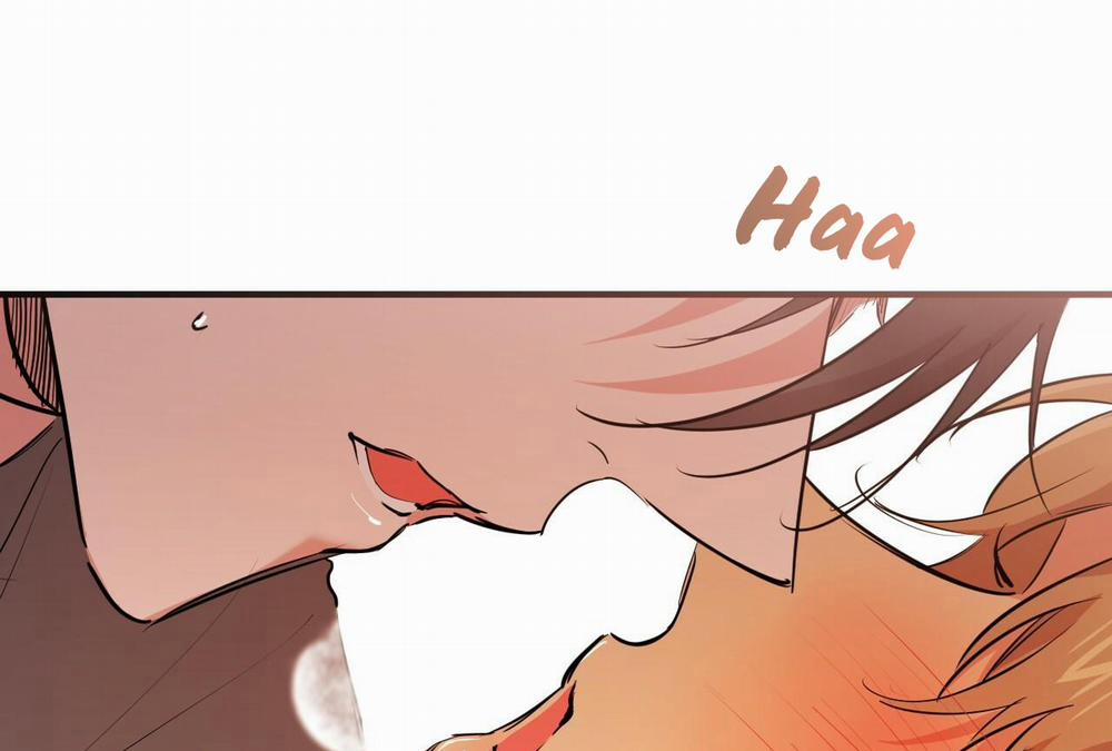 Đàn Thỏ Của Habibi 28 trang 184