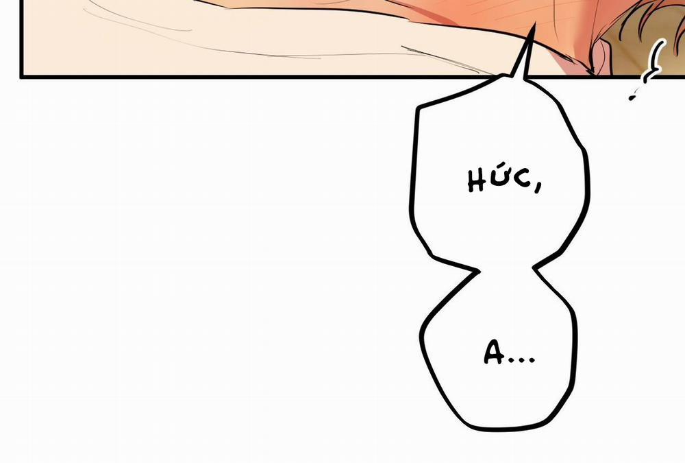 Đàn Thỏ Của Habibi 28 trang 190