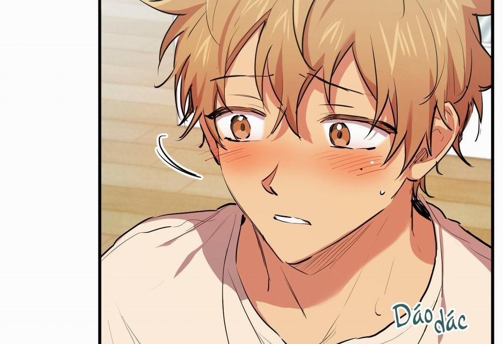 Đàn Thỏ Của Habibi 28 trang 202