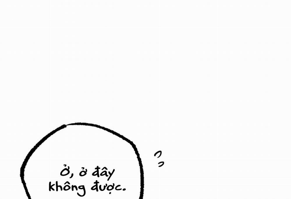 Đàn Thỏ Của Habibi 28 trang 207