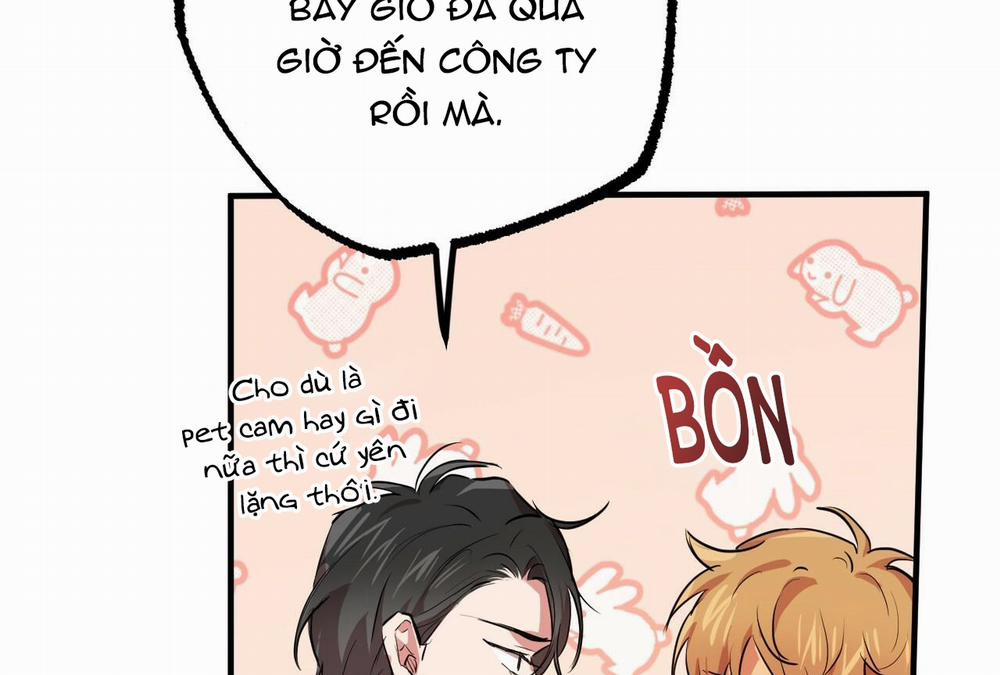 Đàn Thỏ Của Habibi 28 trang 212