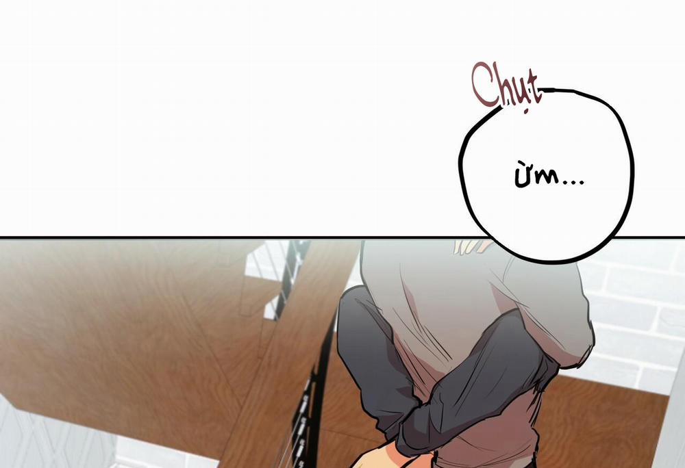 Đàn Thỏ Của Habibi 28 trang 231