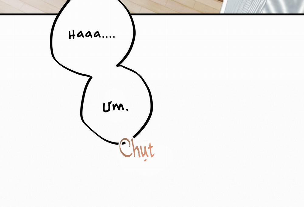 Đàn Thỏ Của Habibi 28 trang 233