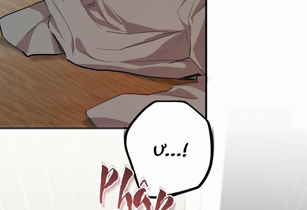 Đàn Thỏ Của Habibi 28 trang 238