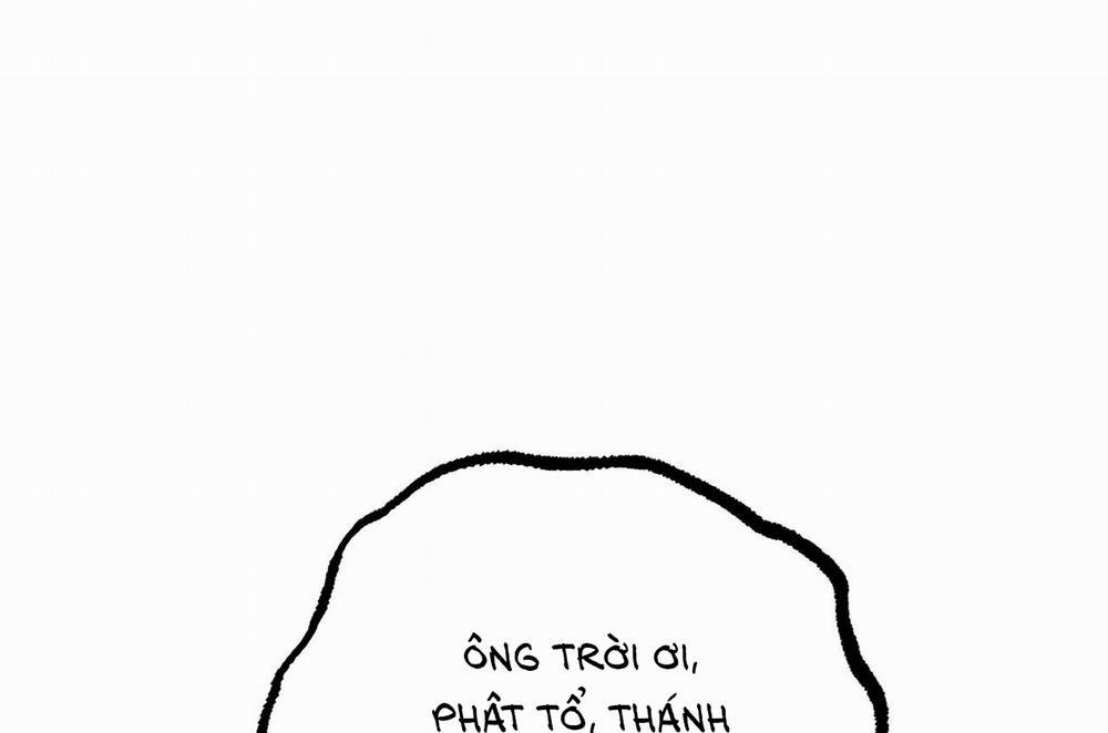 Đàn Thỏ Của Habibi 28 trang 33