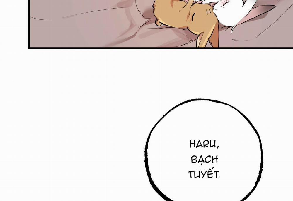 Đàn Thỏ Của Habibi 28 trang 44
