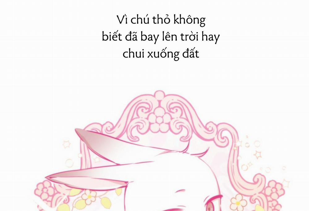 Đàn Thỏ Của Habibi 28 trang 5