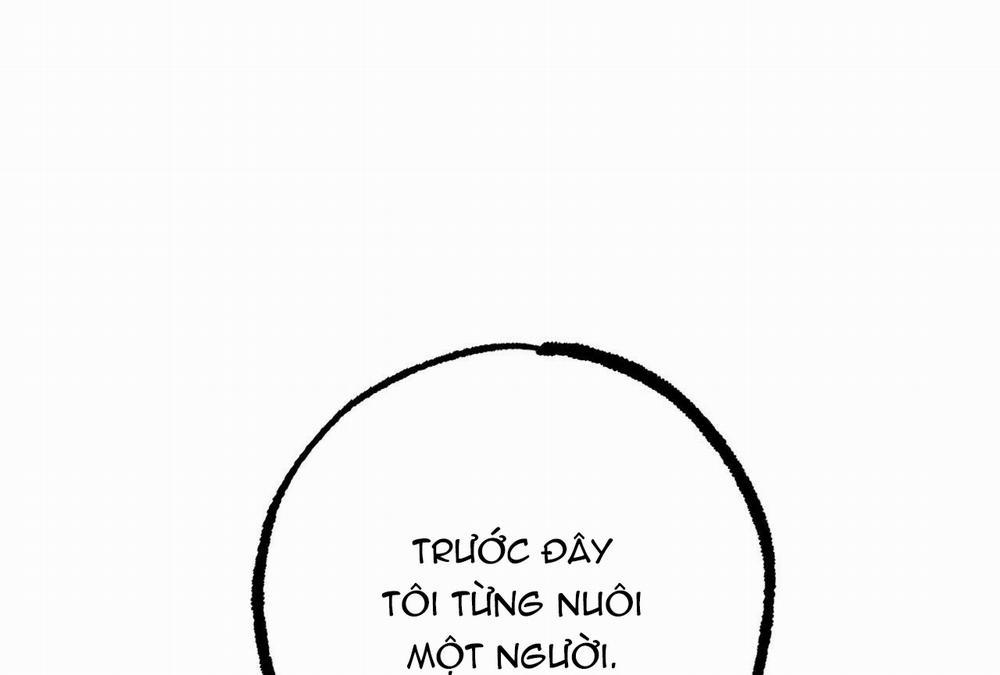 Đàn Thỏ Của Habibi 28 trang 93