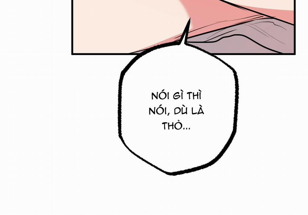 Đàn Thỏ Của Habibi 29 trang 11