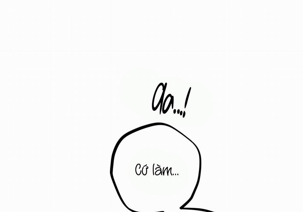 Đàn Thỏ Của Habibi 29 trang 131