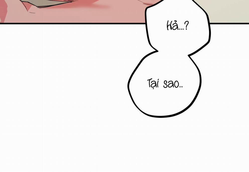 Đàn Thỏ Của Habibi 29 trang 141