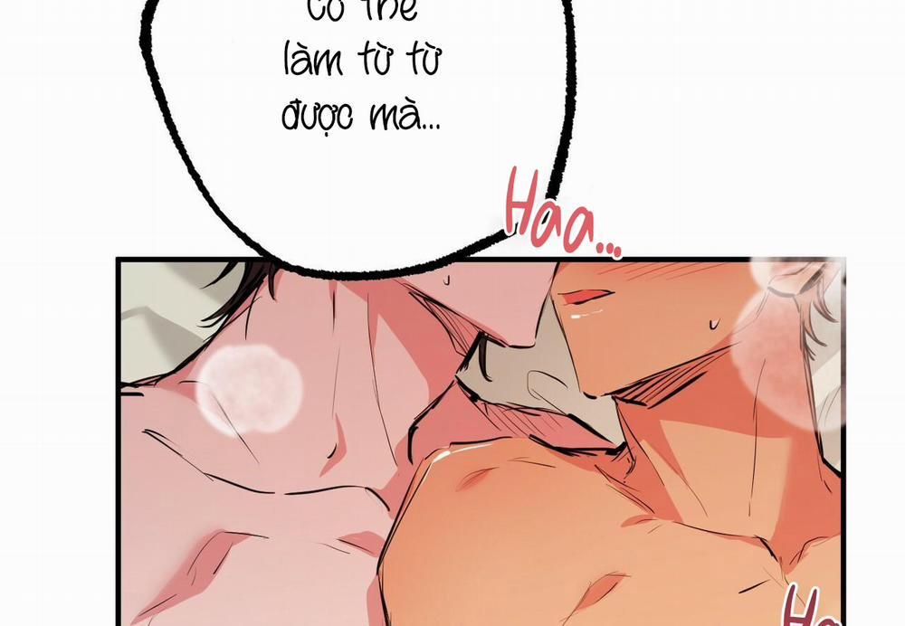 Đàn Thỏ Của Habibi 29 trang 143