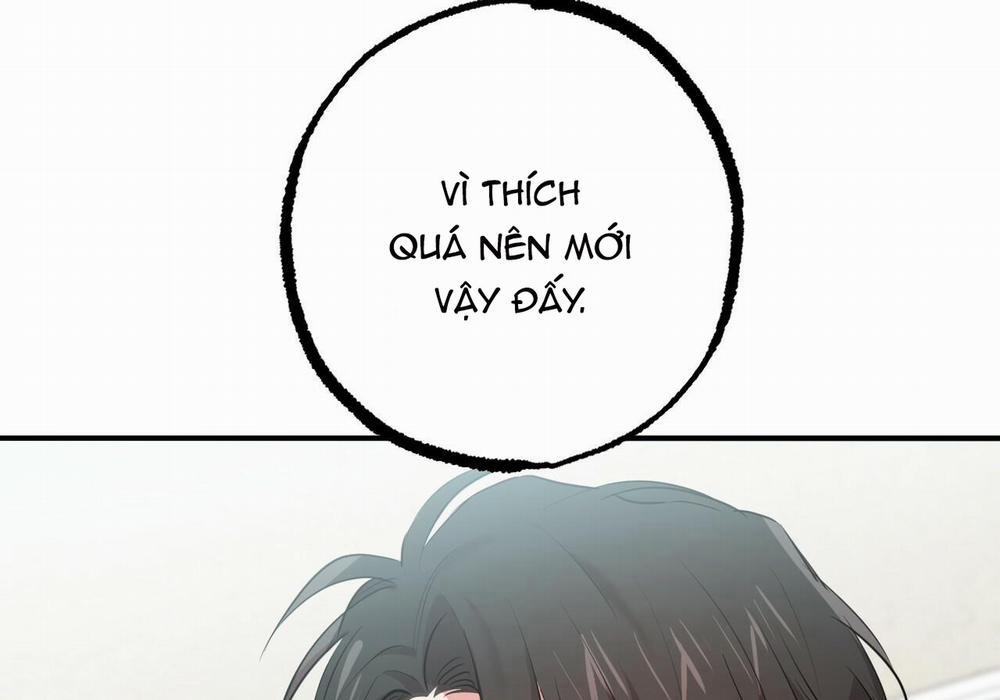 Đàn Thỏ Của Habibi 29 trang 16