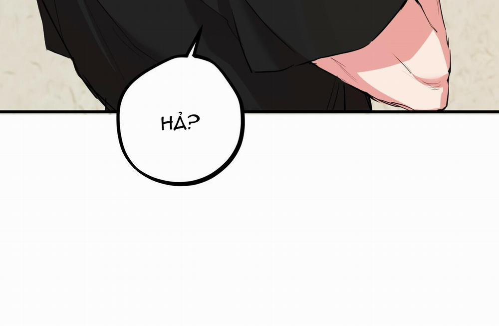 Đàn Thỏ Của Habibi 29 trang 162