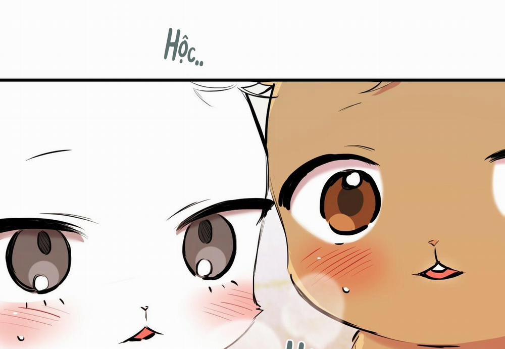 Đàn Thỏ Của Habibi 29 trang 216