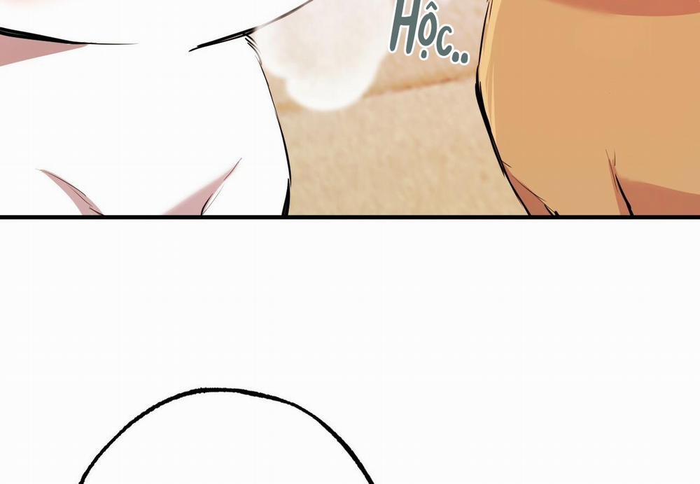 Đàn Thỏ Của Habibi 29 trang 217