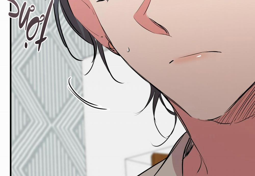 Đàn Thỏ Của Habibi 29 trang 220