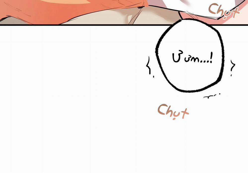 Đàn Thỏ Của Habibi 29 trang 4