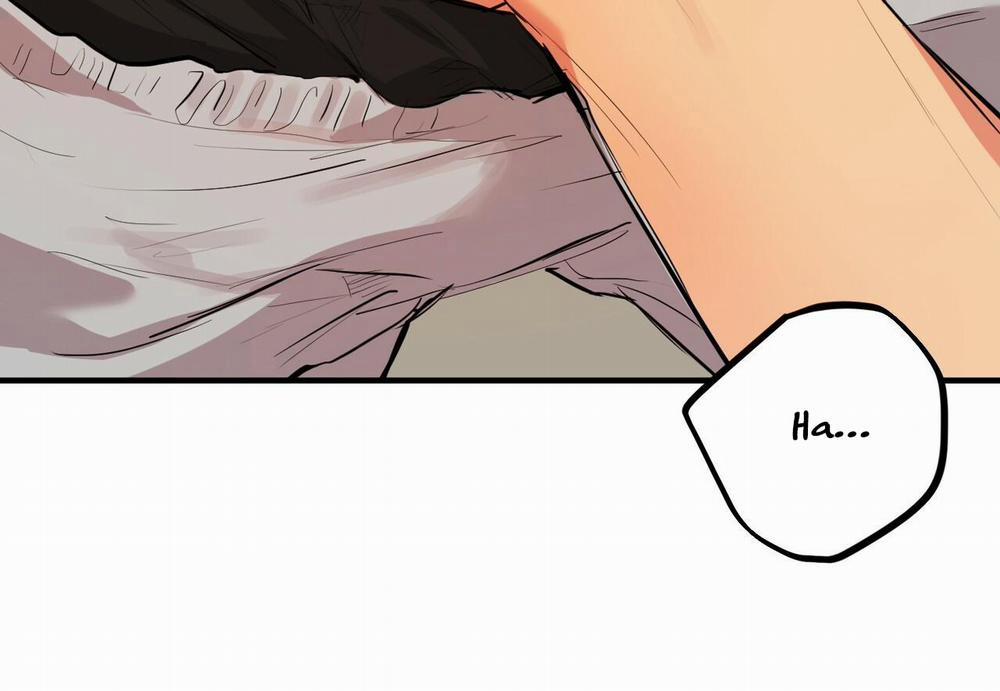 Đàn Thỏ Của Habibi 29 trang 44