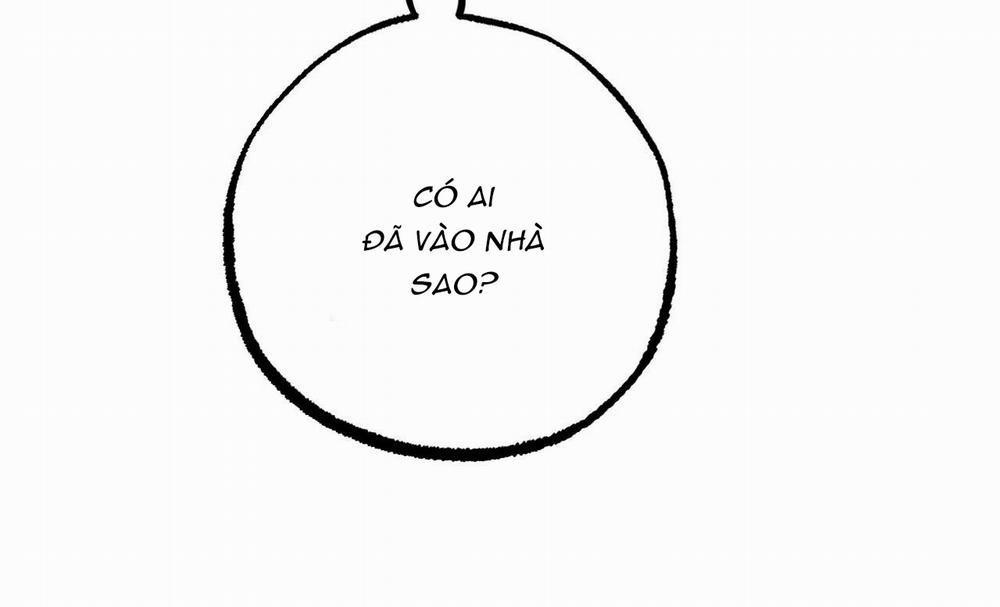 Đàn Thỏ Của Habibi 30 trang 11