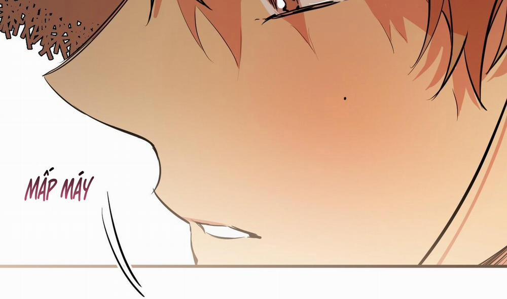 Đàn Thỏ Của Habibi 30 trang 178