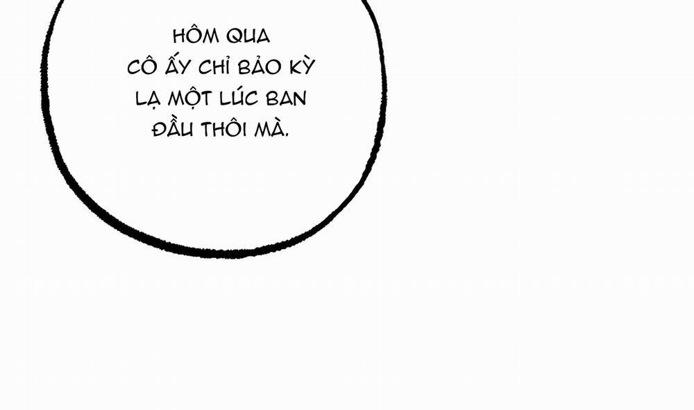 Đàn Thỏ Của Habibi 30 trang 195