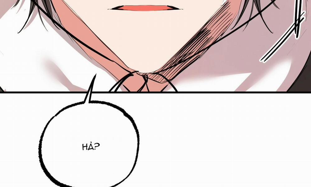 Đàn Thỏ Của Habibi 30 trang 207