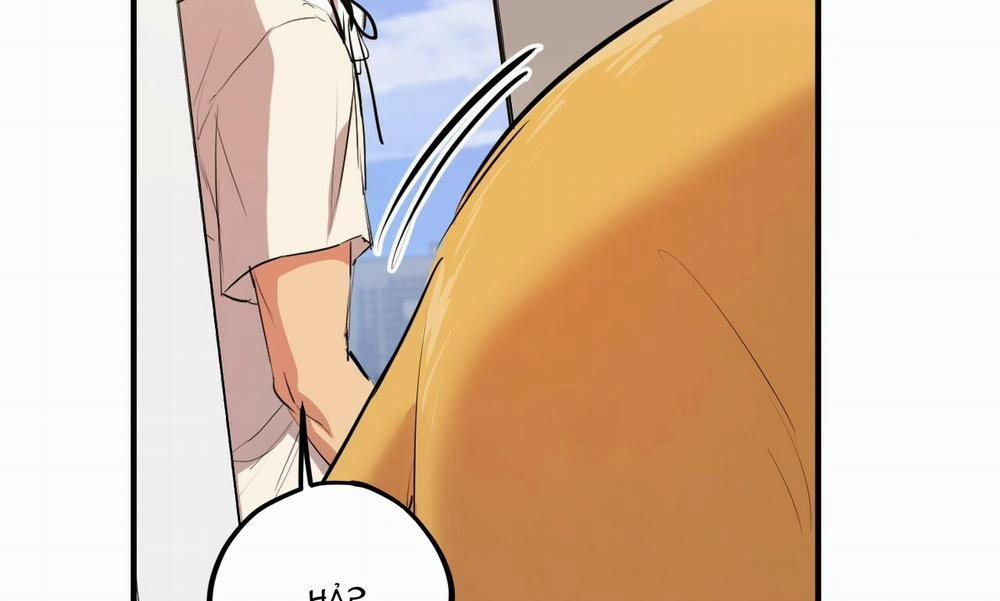 Đàn Thỏ Của Habibi 30 trang 223