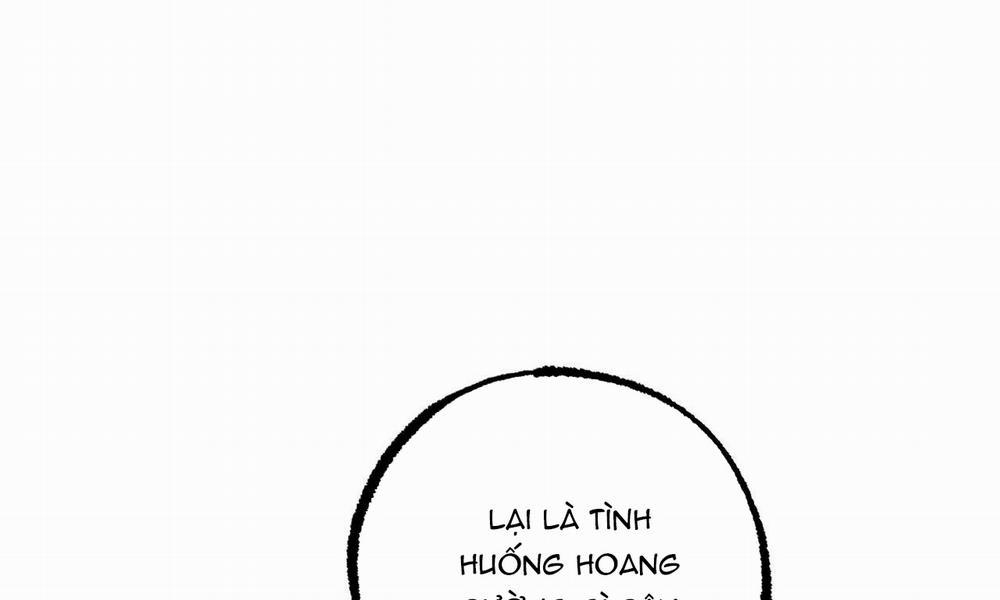 Đàn Thỏ Của Habibi 30 trang 225