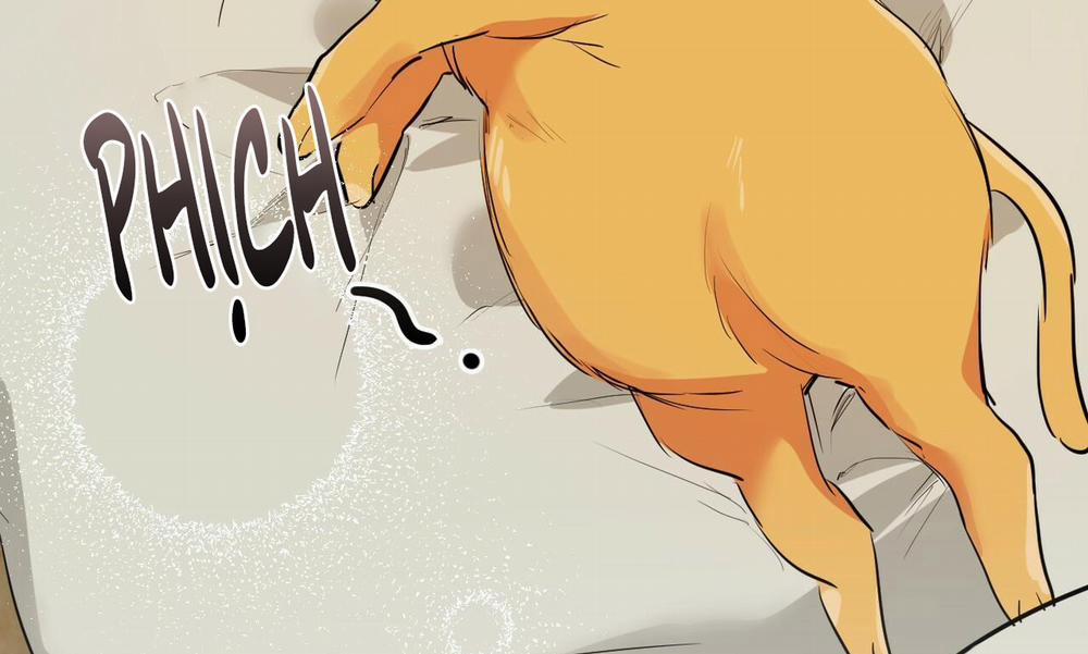 Đàn Thỏ Của Habibi 30 trang 241