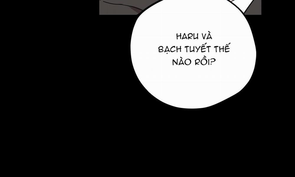 Đàn Thỏ Của Habibi 30 trang 45