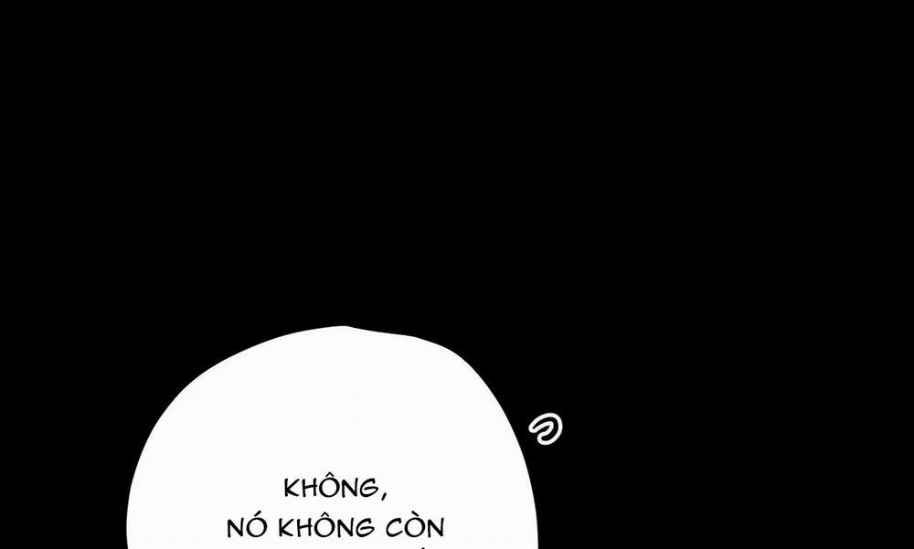 Đàn Thỏ Của Habibi 30 trang 53