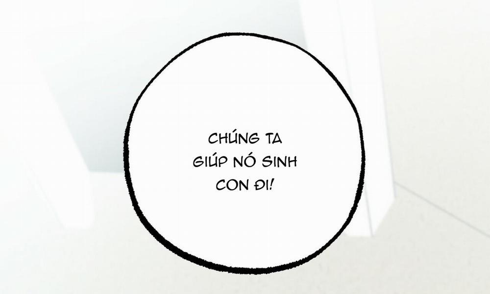 Đàn Thỏ Của Habibi 31 trang 1