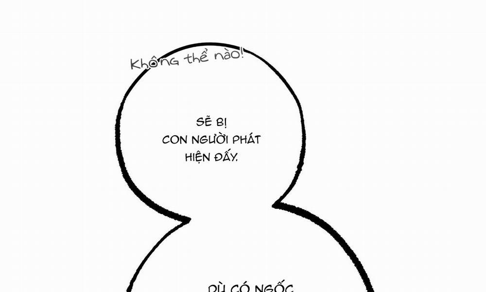 Đàn Thỏ Của Habibi 31 trang 10