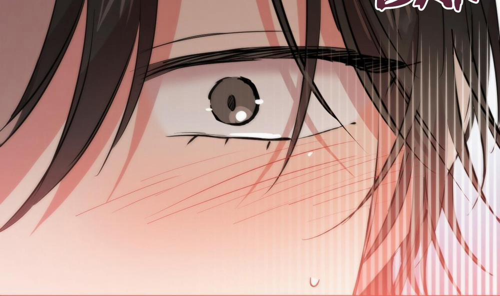 Đàn Thỏ Của Habibi 31 trang 114