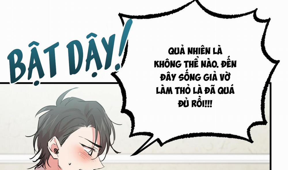 Đàn Thỏ Của Habibi 31 trang 116