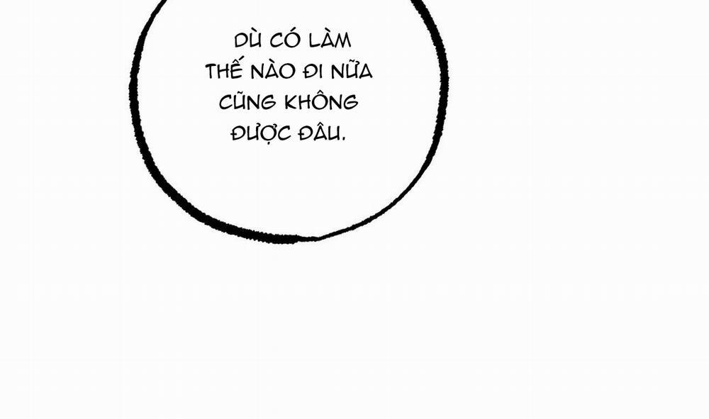 Đàn Thỏ Của Habibi 31 trang 122