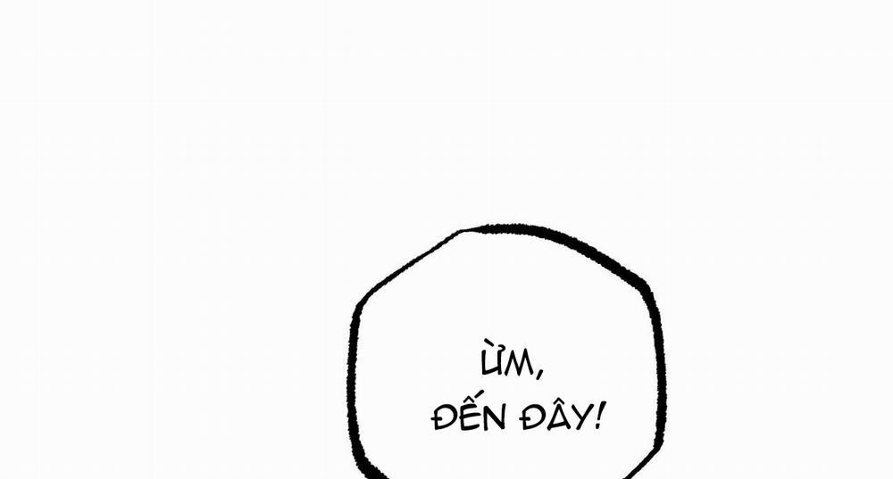 Đàn Thỏ Của Habibi 31 trang 206