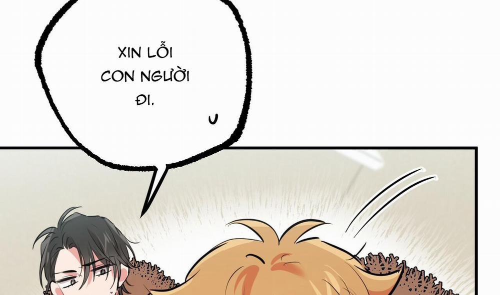 Đàn Thỏ Của Habibi 31 trang 22