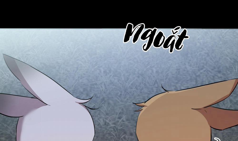 Đàn Thỏ Của Habibi 31 trang 246