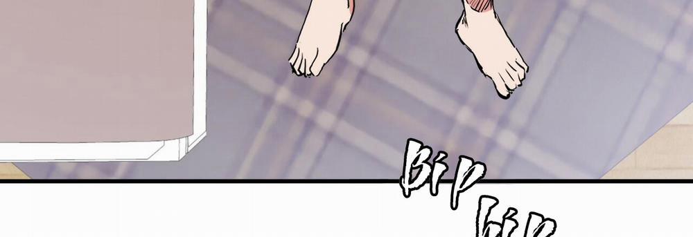 Đàn Thỏ Của Habibi 31 trang 292